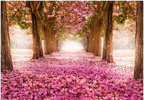 Fototapeta - Ružový raj 250x175 + zadarmo lepidlo