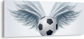 Obraz - Balón s krídlami (120x50 cm)