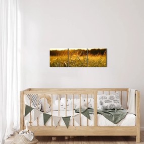 Obraz orosenej trávy (s hodinami) (90x30 cm)