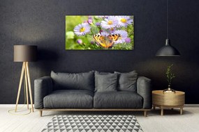 Obraz na skle Kvety motýľ príroda 140x70 cm