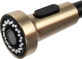 Rea Colin, stojanková kuchynská batéria, zlatá matná, REA-B4821