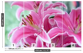 Fototapeta Vliesová Ružová ľalia 250x104 cm