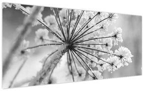 Obraz - Kvetina v zime (120x50 cm)