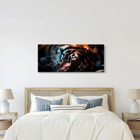 Obraz ležiaceho tigra (120x50 cm)