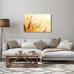 Obraz - detail obilia (90x60 cm)