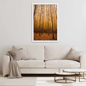 Gario Plagát Zlatý les na jeseň Farba rámu: Bez rámu, Rozmery: 20 x 30 cm