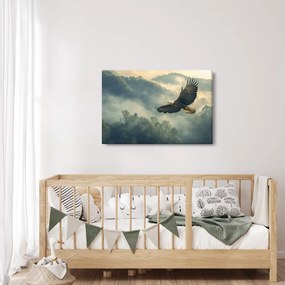 Obraz - Letiaci orol (90x60 cm)