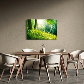 Obraz - Magická lúka plná púpav (90x60 cm)