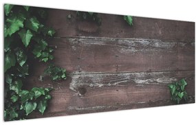 Obraz - Brečtan (120x50 cm)