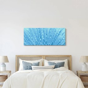 Obraz - Makro záber kvetu (120x50 cm)