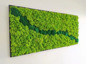 Machový obraz v čiernom ráme 57cm x 123cm