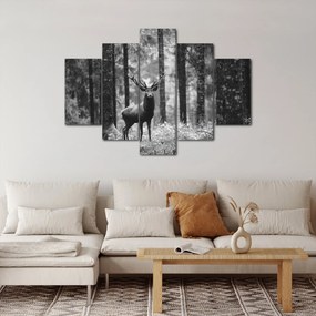 Obraz - Jeleň v lese 2, čiernobiela (150x105 cm)