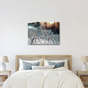 Obraz - Zamrznutá lúka (70x50 cm)