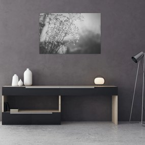 Obraz - Lúka po daždi (90x60 cm)