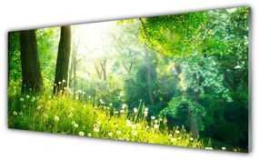 Obraz plexi Lúka príroda rastlina 125x50 cm