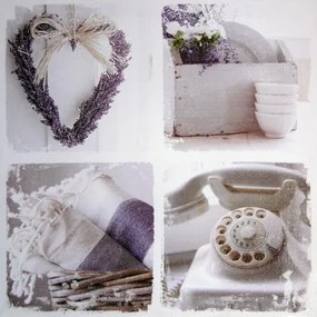 Obraz tlačený na plátne 50x50 PRC180