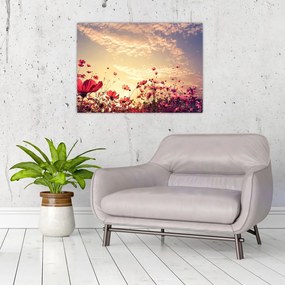 Sklenený obraz - Lúka s kvetmi (70x50 cm)