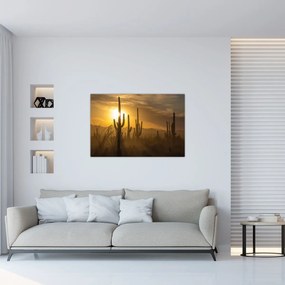 Obraz - Kaktusy Saguaro (90x60 cm)