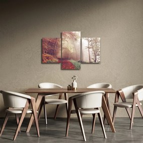 Obraz - Jesenná prechádzka lesom (90x60 cm)