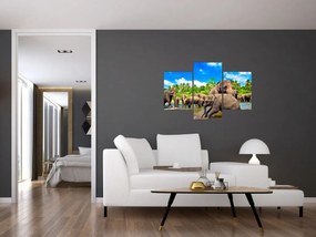 Obraz - Slony, Sri Lanka (90x60 cm)