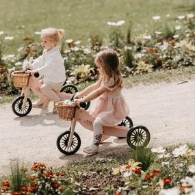 Drevené balančné odrážadlo Tiny Tot Plus 2v1 ružová