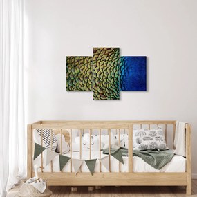 Obraz - Pávie perie (90x60 cm)