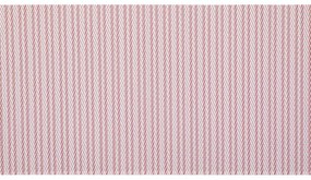 Plastové prestieranie 33x45 cm Fallon – ZicZac