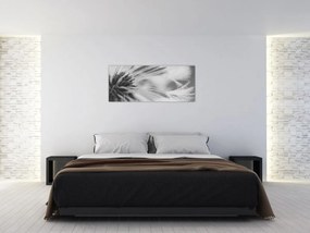 Obraz - Púpava (120x50 cm)