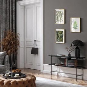 Obrazy v súprave 3 ks 30x40 cm Fern – knor
