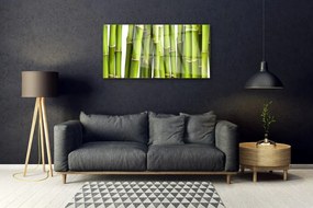 Skleneny obraz Bambus rastlina príroda 100x50 cm