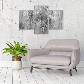 Obraz - Divoká lúka (90x60 cm)