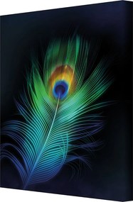 Plátno maľba Peacock Eye