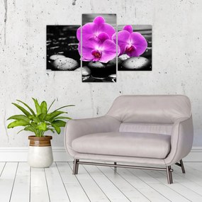 Obraz - Fialové orchidey (90x60 cm)