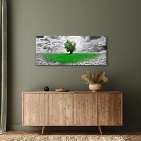 Obraz - Kus prírody v meste (120x50 cm)