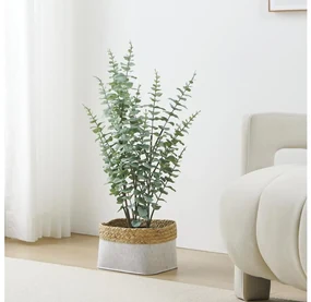 Eglo 428378 - Umelá rastlina v kvetináči TOBETSU 76x25,5 cm EG428378