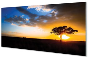 Obraz na skle mraky strom 120x60 cm