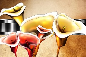 Obraz luxusné kvety kaly