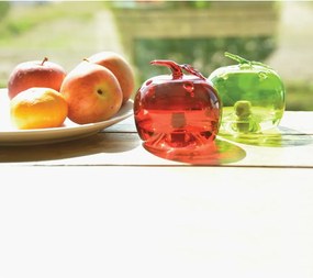 Sklenené lapače hmyzu v súprave 2 ks Apple – Esschert Design