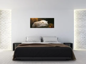 Obraz - Odpočívajúci vlk (120x50 cm)