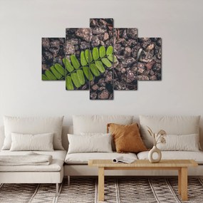 Obraz zelenej rastliny (150x105 cm)
