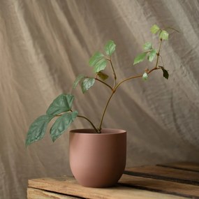 Kvetináč Shire staroružový