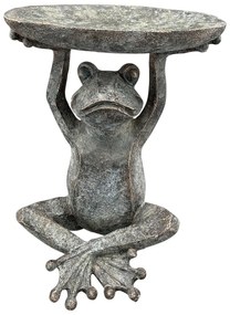 Napájadlo pre vtáky Frog2, 29,5x23 cm, magnézium, sivá