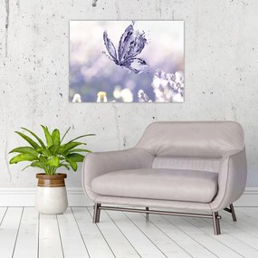 Obraz - Motýľ a levanduľa (70x50 cm)