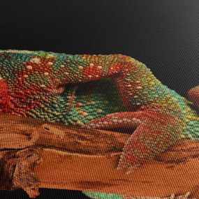 Obraz chameleóna na vetve (70x50 cm)