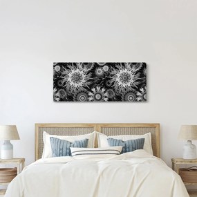 Obraz - Čiernobiele bodliaky (120x50 cm)