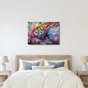 Obraz - Farebná rybička (70x50 cm)