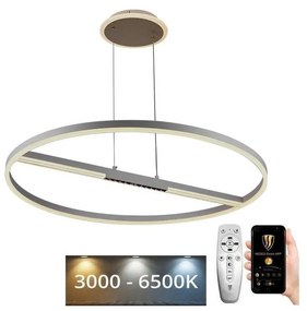 NEDES LED Stmievateľný luster na lanku LED/95W/230V 3000-6500K + diaľkové ovládanie ND4013