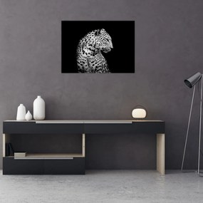 Sklenený obraz - Leopard (70x50 cm)