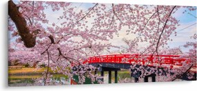 Obraz - Hirosaki, Japonsko (120x50 cm)