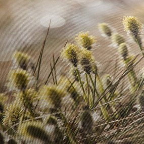 Obraz - Zeleň (120x50 cm)